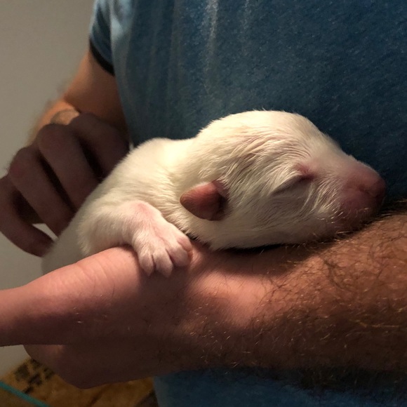 Meet your Posher, Lisa - Picture 5 of 11